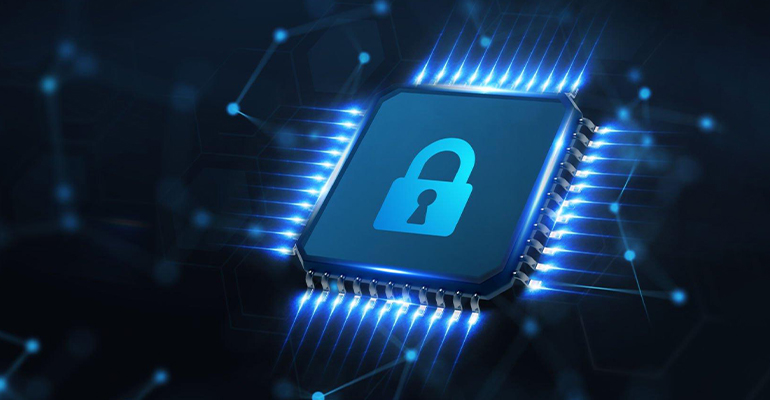 Free WAF(Web Application Firewall) vs Enterprise WAF(Web Application Firewall)